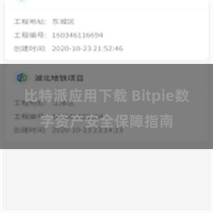 比特派应用下载 Bitpie数字资产安全保障指南