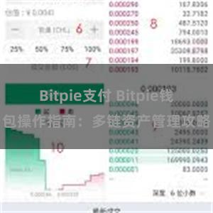 Bitpie支付 Bitpie钱包操作指南：多链资产管理攻略