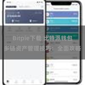 Bitpie下载 比特派钱包多链资产管理技巧：全面攻略