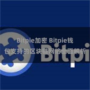 Bitpie加密 Bitpie钱包支持的区块链网络全面解析