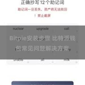 Bitpie安装步骤 比特派钱包常见问题解决方案