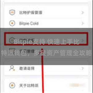 Bitpie支持 快速上手比特派钱包，多链资产管理全攻略