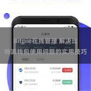 Bitpie在线管理 解决比特派钱包使用问题的实用技巧