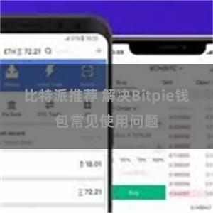 比特派推荐 解决Bitpie钱包常见使用问题