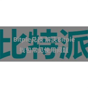 Bitpie兑换 解决Bitpie钱包常见使用问题