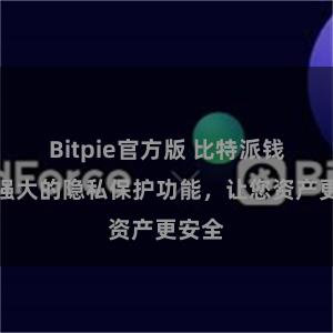 Bitpie官方版 比特派钱包：强大的隐私保护功能，让您资产更安全