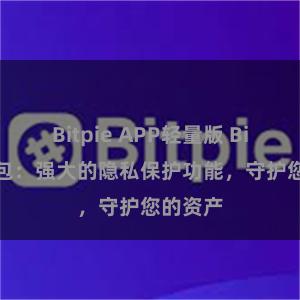 Bitpie APP轻量版 Bitpie钱包：强大的隐私保护功能，守护您的资产