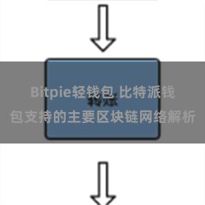 Bitpie轻钱包 比特派钱包支持的主要区块链网络解析