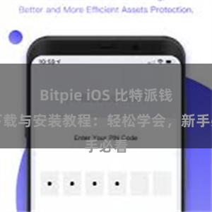 Bitpie iOS 比特派钱包下载与安装教程：轻松学会，新手必看