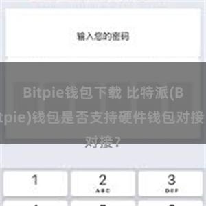 Bitpie钱包下载 比特派(Bitpie)钱包是否支持硬件钱包对接？