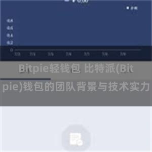 Bitpie轻钱包 比特派(Bitpie)钱包的团队背景与技术实力