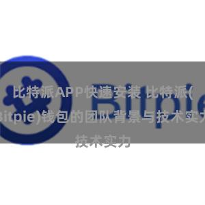 比特派APP快速安装 比特派(Bitpie)钱包的团队背景与技术实力