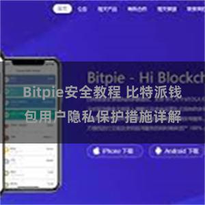 Bitpie安全教程 比特派钱包用户隐私保护措施详解