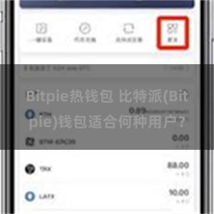 Bitpie热钱包 比特派(Bitpie)钱包适合何种用户？