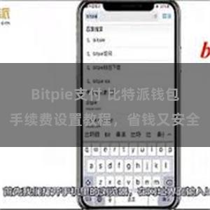 Bitpie支付 比特派钱包手续费设置教程，省钱又安全